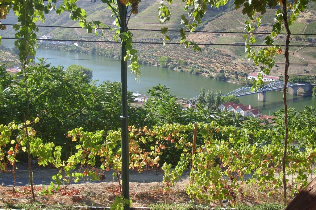 Quinta da Galeira Pinhão Quarto foto